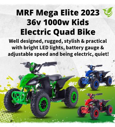 Electric quad bike outlet for adults for sale